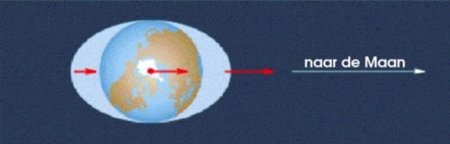 Figuur 1: Kracht van de Maan op verschillende punten op Aarde.