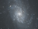 DSS-foto van het sterrenstelsel M33