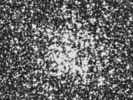 DSS-foto van de open cluster M11