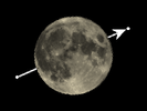 De Maan bedekt 29 Cancri