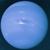 Neptunus