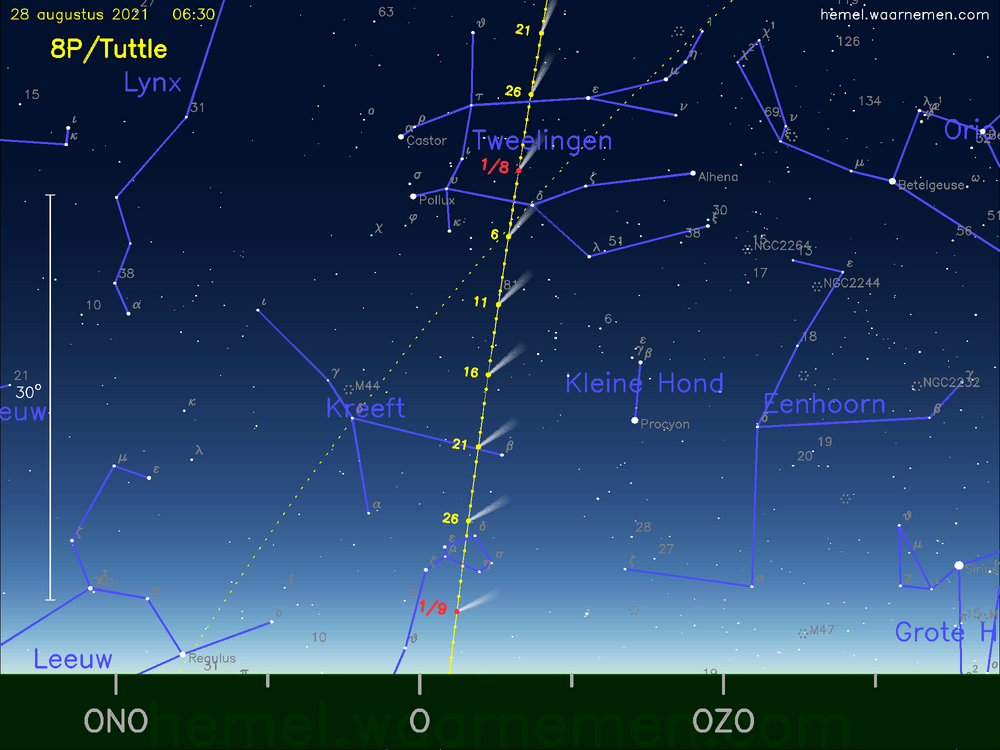 De komeet 8P/Tuttle aan de ochtendhemel