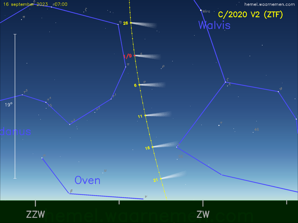 De komeet C/2020 V2 (ZTF) aan de ochtendhemel
