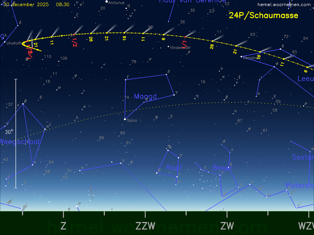 De komeet 24P/Schaumasse aan de ochtendhemel