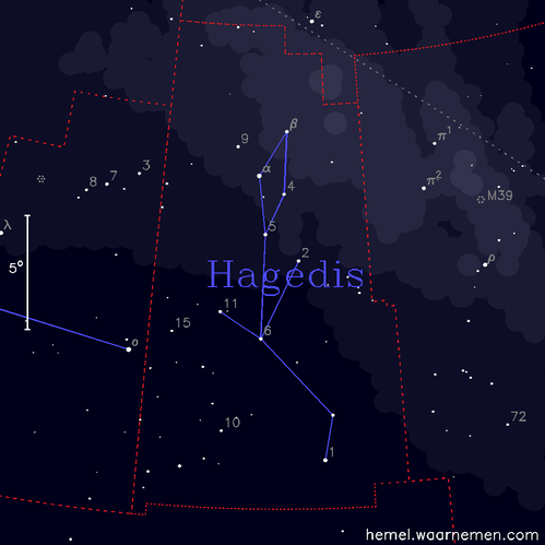 Kaart van het sterrenbeeld Hagedis
