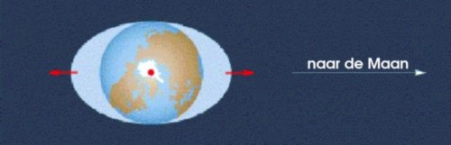 Figuur 2: Kracht van de Maan op verschillende punten op Aarde.
