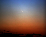 Komeet C/2011 L4 (PANSTARRS)