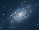 DSS-foto van het sterrenstelsel NGC2403