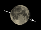 De Maan bedekt ρ Capricorni