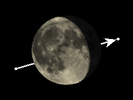 De Maan bedekt Acubens