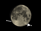 De Maan bedekt 31 Arietis