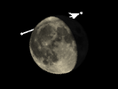 De Maan bedekt Acubens