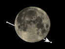 De Maan bedekt 24 Piscium