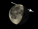 De Maan bedekt ρ Arietis