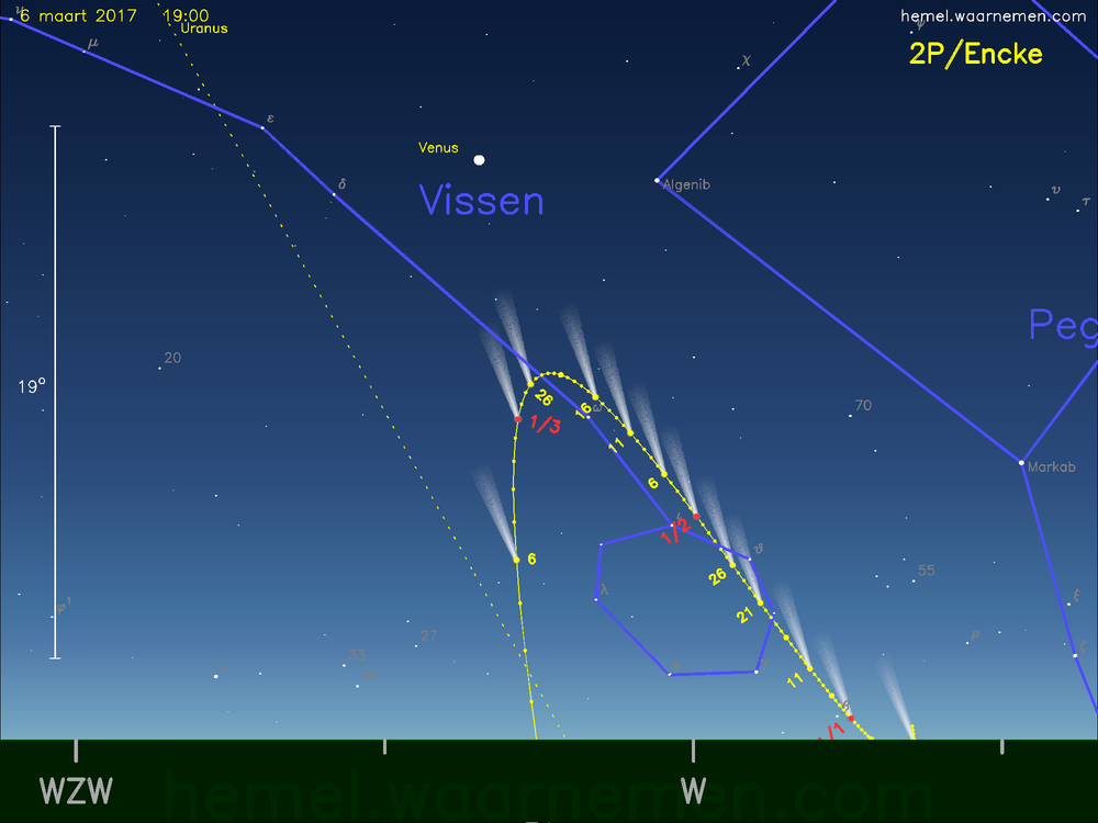 De komeet 2P/Encke aan de avondhemel
