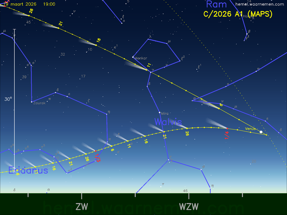 De komeet C/2026 A1 (MAPS) aan de avondhemel