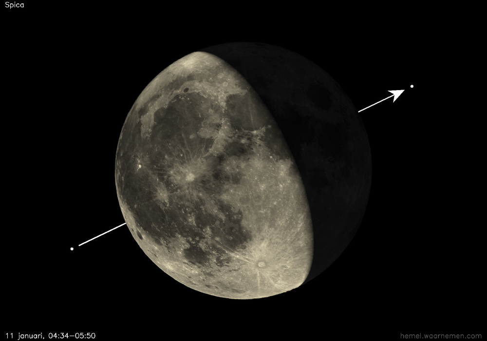 Pad van Spica t.o.v. De Maan