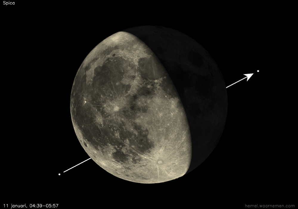 Pad van Spica t.o.v. De Maan