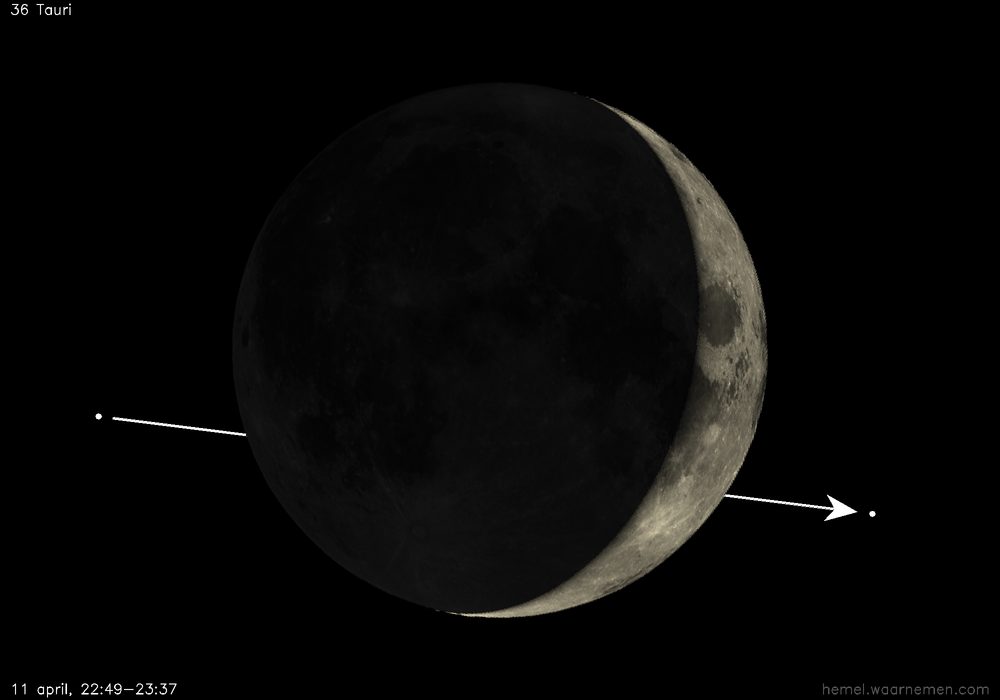 Pad van 36 Tauri t.o.v. De Maan