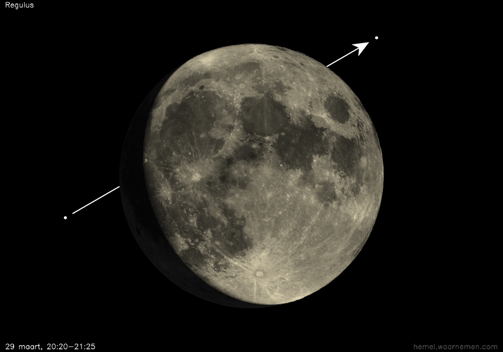 Pad van Regulus t.o.v. De Maan